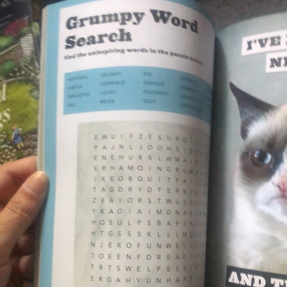 Grumpy cat book: a grumpy book mbr - Picture 5 of 8
